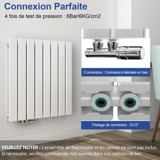 Meykoers Radiateur à eau chaude Blanc Horizontal couche double Radiateur chauffage central 63x100cm