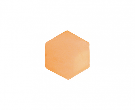 Carrelage manuel en terre cuite artisanale, hexagonale 20x20 cm - 0.17m²/boîte